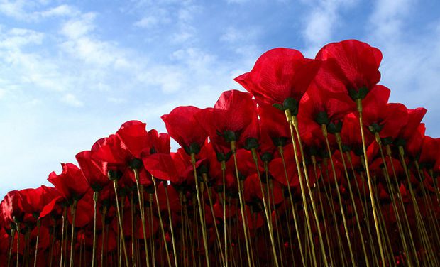 Flower Wave, únete por una buena causa