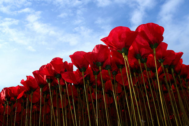 Flower Wave, únete por una buena causa