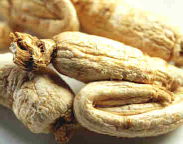 El ginseng