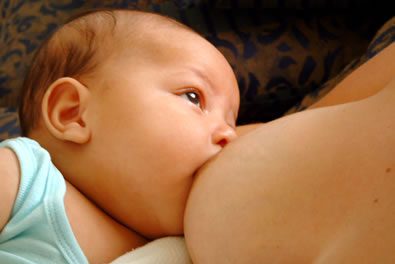 Lactancia materna y la ingesta de grasas