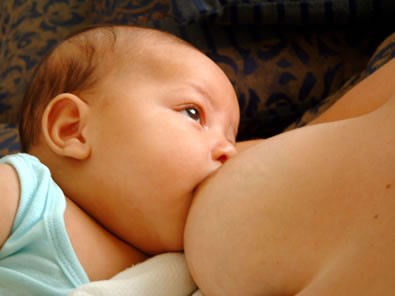 Lactancia materna y la ingesta de grasas