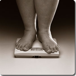 En busca del origen de la grasa