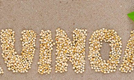La quinoa, uno de los alimentos más saludables, ¿Cuáles son sus propiedades?