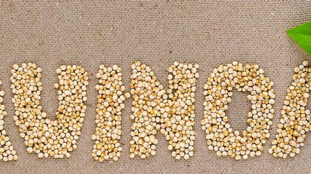 La quinoa, uno de los alimentos más saludables, ¿Cuáles son sus propiedades?