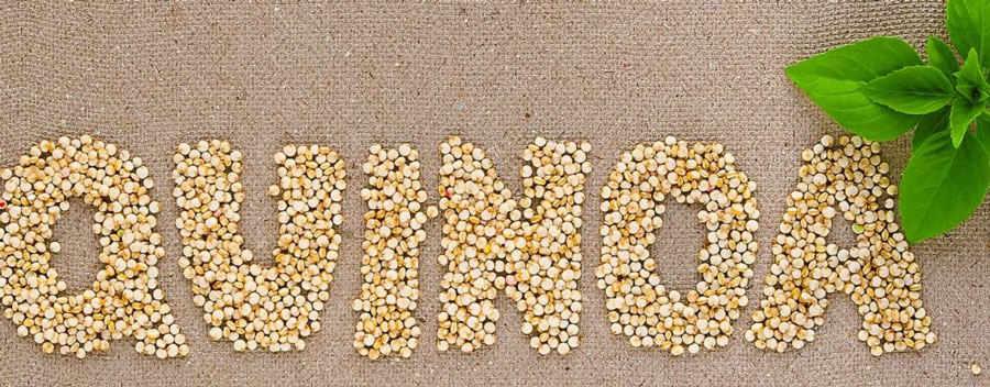 La quinoa, uno de los alimentos más saludables, ¿Cuáles son sus propiedades?