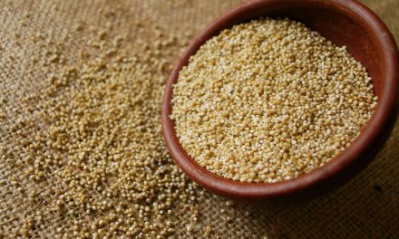 ¿Qué es la quinoa? ¿Qué beneficios tiene para la salud?