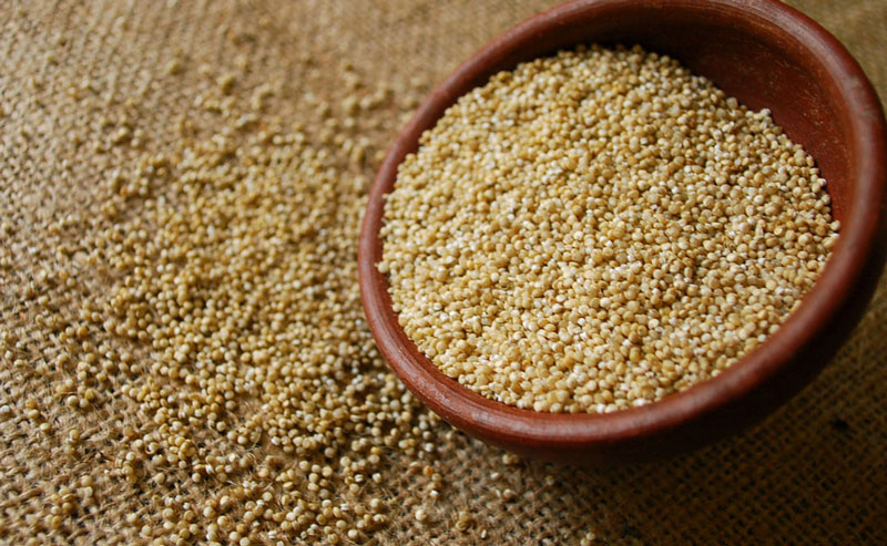 ¿Qué es la quinoa? ¿Qué beneficios tiene para la salud?