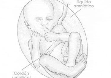 Treintaicuatro semanas de embarazo