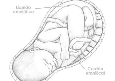 Treintaiocho  semanas de embarazo