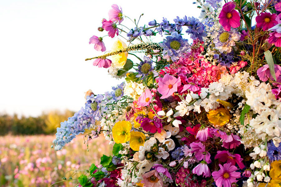 La Fragancia de Carolina Herrera CH L’Eau, una locura floral ideal para el verano
