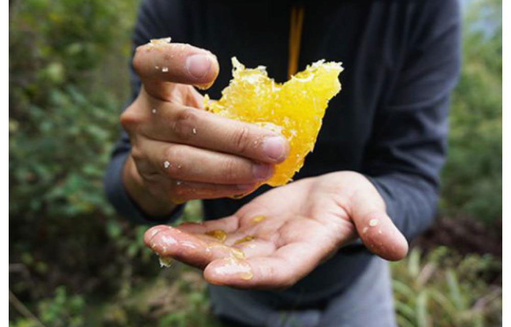 Jalea Real ahora con frutas, Arko Royal Fruits de Arkopharma