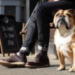 Regalos de belleza para hombres de BULLDOG Skincare