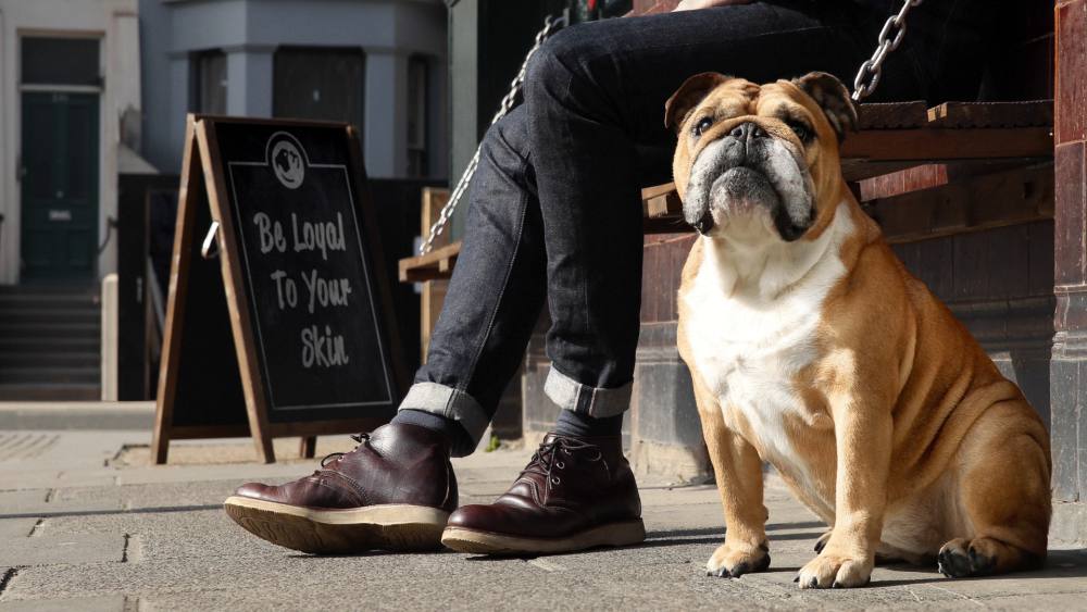 Regalos de belleza para hombres de BULLDOG Skincare