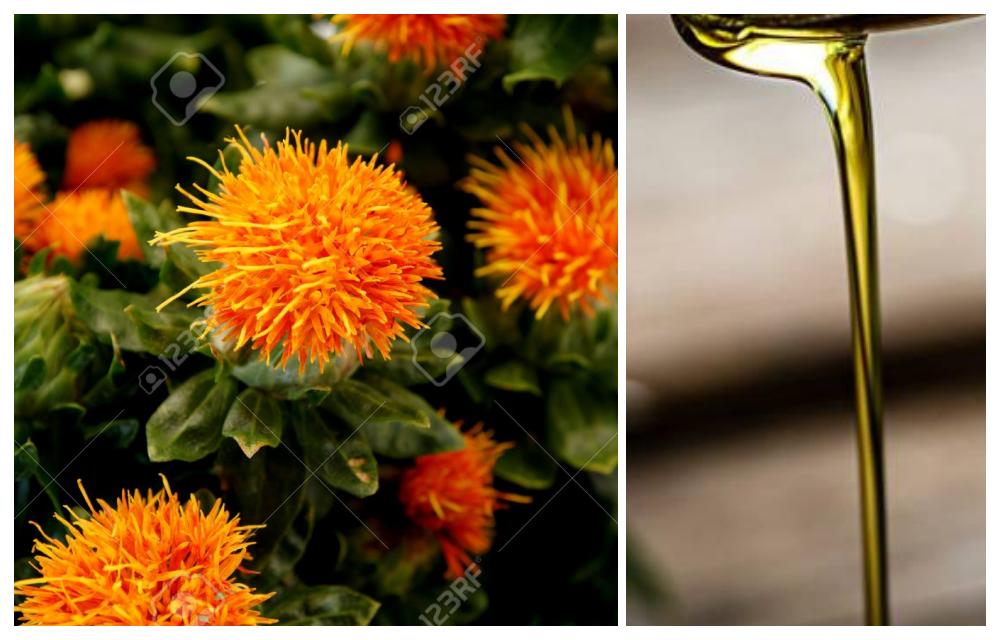 Aceite para cuidar la piel