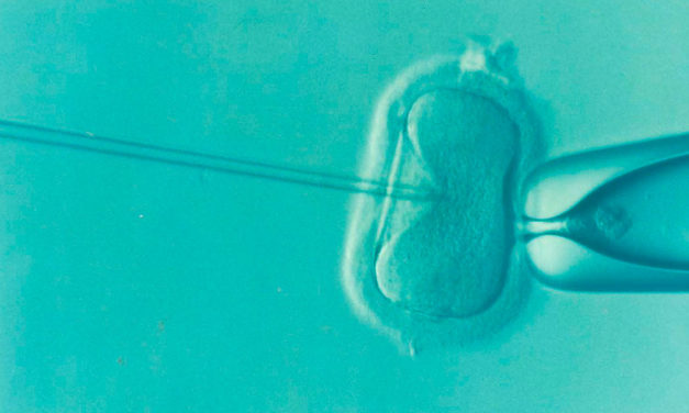 Las tasas de éxito en los tratamientos de reproducción asistida